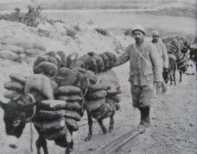 Cooks using mules to haul bread up to the front.