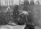 British and French troops work to free some horses from a flooded shell-hole. 