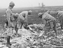 A post-war shot showing soldiers filling in the trenches with earth and debris.