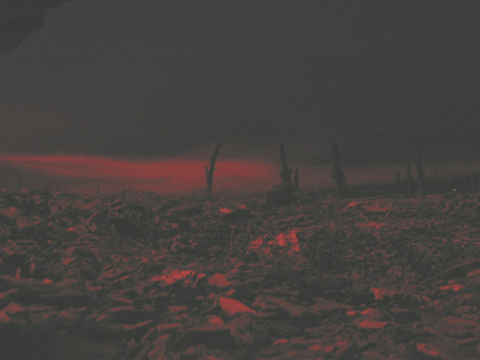 A flare casts a strange light across a smoke-filled no-man's-land, April 2004.