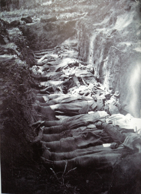 French dead laid out in a mass-grave awaiting burial. Photo taken by Frantz Adam, July 1918.