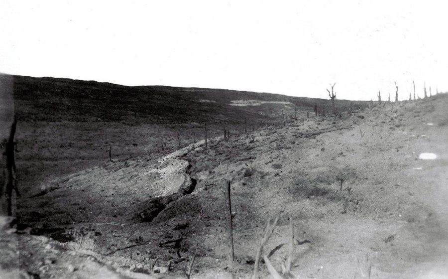A haunting image showing a trench cutting its way across the devastated ground. Verdun.