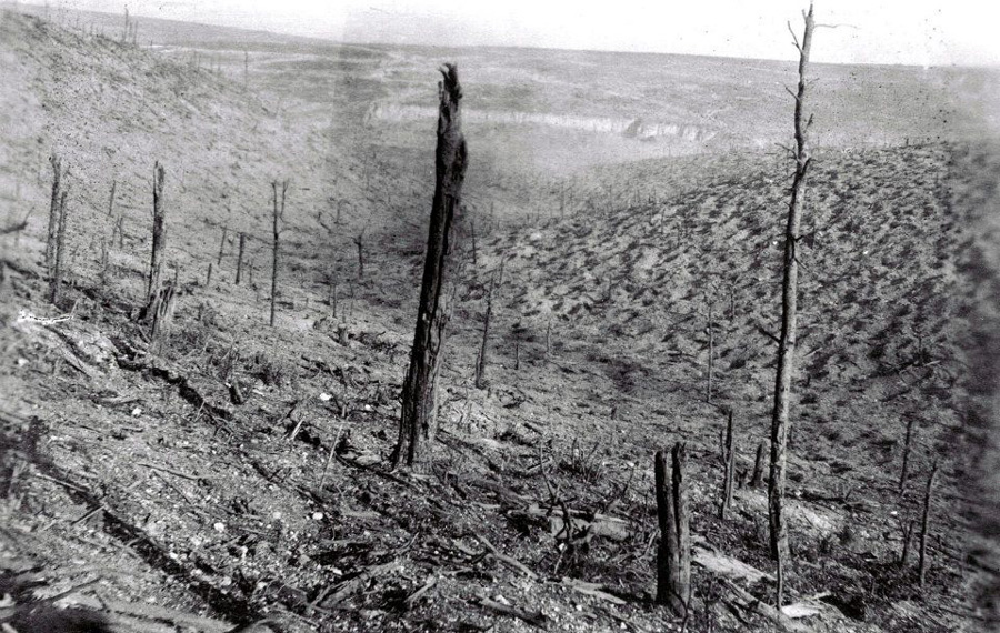 Showing the effect of artillery bombardments on the once wooded heights north of Verdun.