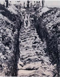 The bodies of French soldiers are packed tight into a mass grave.