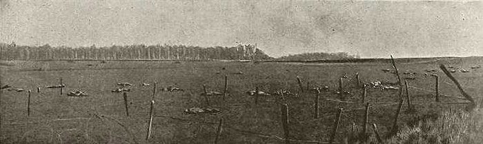 A German raiding party caught by a machine-gun, lies strewn out in no-man's-land.