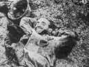 German dead in a trench.