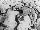 A headless, limbless torso at Verdun, 1916.