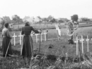 Civilians upkeep a grave plot.